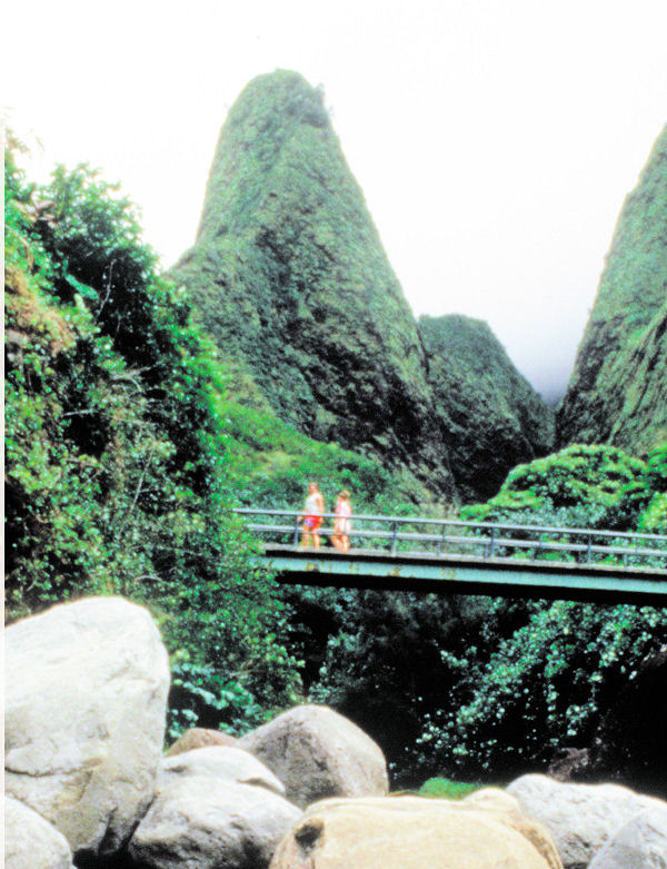 Maui Tropical Plantation & Iao Valley